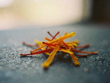 Close-up macro shot of vibrant saffron strands resting on a dark textured stone, soft warm lighting, shallow depth of field, 35mm film.