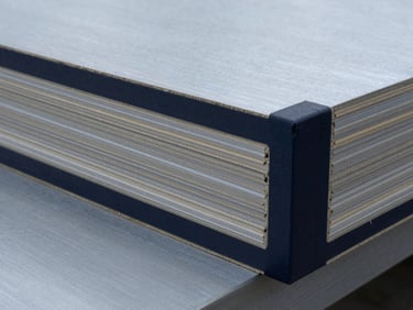 Macro cross-section of F17 formwork plywood showing multiple veneer layers and a thick dark phenolic edge-seal, cool technical lighting