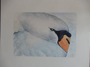 Dans les Plumes, aquarelle sur papier 100% coton, 24x30 cm, Sébastien Schoch