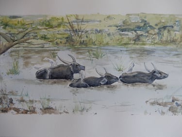 Bathing Buffalos, aquarelle sur papier 100% coton, 30x40 cm, Sébastien Schoch