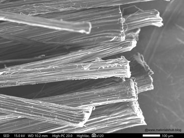 Microstructure of a natural fiber