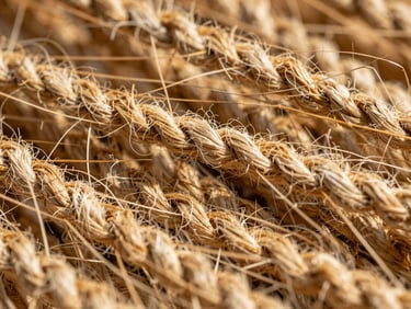 Extreme macro photograph of raw golden jute fibers under high-contrast side-lit natural sunlight, showcasing the rough three-dimensional texture of the weave.