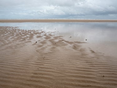 Detail of wet sand at low tide on a Normandy beach, small ripple patterns left by receding water, overcast grey sky reflected faintly in the wet surface, no people, wide environmental framing
