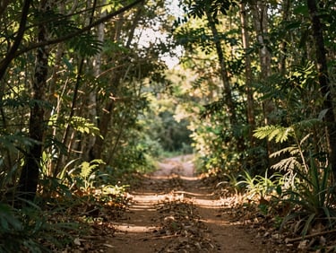 A quiet forest path in Caxias do Sul, sunlight filtering through green leaves, peaceful atmosphere, soft depth of field