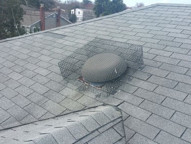 Attic fan cover