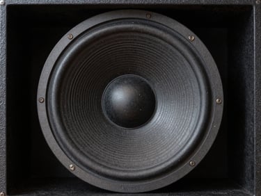 Macro shot of the dual fifteen inch transducers inside the Haroon loudspeaker cabinet, showing the heavy ribbed paper cone and massive magnet assembly