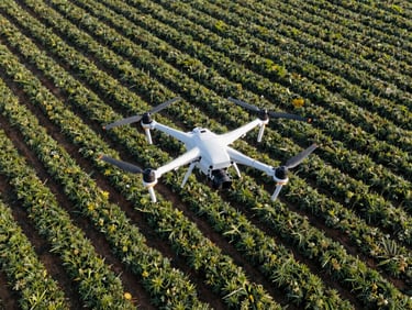 Aerial drone flying over a plantation, capturing high-resolution imagery for boundary mapping, bright morning sun. Eye-level medium shot, sharp industrial photography.