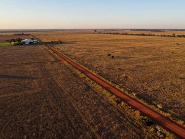 Aerial wide shot of a rural farmland property in Tocantins cerrado, red-earth access road visible, golden hour light across flat agricultural fields