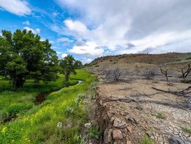 Landscape transitioning from lush green valley on the left to arid barren terrain on the right