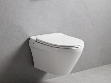 Minimalist wall-hung white ceramic toilet mounted on a slate grey wall, bright neutral lighting