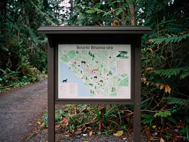 A newly installed, weather-resistant wayside exhibit panel featuring a map and local wildlife illustration, set along a forested trail in the Pacific Northwest, with soft daylight.