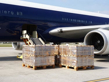 Cargo plane being loaded with pallets at an airport tarmac, bright natural daylight, high contrast, sharp focus