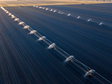 Aerial view of a complex network of irrigation lines distributing water across a vast Idaho crop field, early morning daylight, sharp focus, 35mm