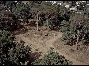 Imagens de satélite desaturadas mostrando a transformação ecológica de uma floresta em área urbana, baixo contraste, tons terrosos, matte, 35mm