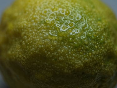 Extreme macro shot of a lemon peel showing oil glands, soft diffused light.