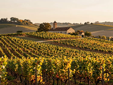 A picturesque vineyard in Vale dos Vinhedos, Serra Gaúcha, Brazil, during autumn, rolling hills, rows of grapevines, and a charming stone building in the background, soft afternoon light.