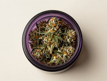 Symmetrical overhead shot of premium cannabis flower in a sealed dark violet glass jar on a clean cream surface.