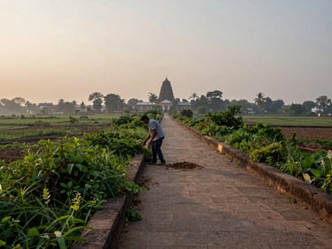 Wide shot of the Govardhan parikrama hill corridor at dawn, a field worker with a tool clearing overgrowth from the stone-edged path, goshala structure visible in the far background, soft morning light