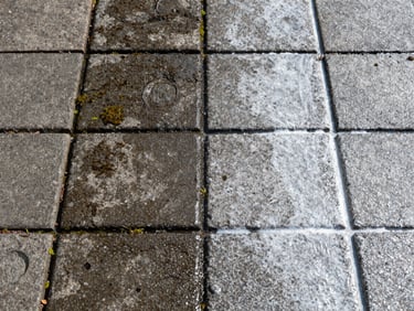 Close-up ground-level shot of grey concrete pavers, left half stained with dark moss and grime, right half pressure-washed to bright clean stone under direct sunlight, sharp surface texture, water residue visible on the clean side, no people