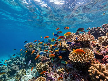 Vibrant coral reef in Playa del Carmen with schools of colorful fish, clear blue Caribbean water, bright sunlight filtering from the surface.