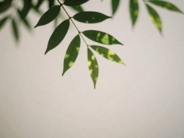 Soft-focus natural elements, green leaves filtering warm daylight, clean minimalist background, calming atmosphere
