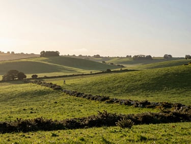 Wide environmental shot of rolling green hills and hedgerows of the Brionnais region under a soft hazy sky, distant cyclist.