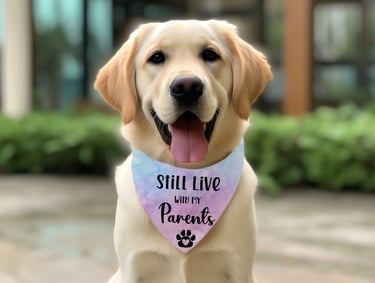 A yellow lab dog wearing a tie dye bandanna reading "Still Live with my Parents."