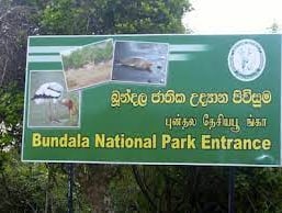 Bundala National Park