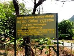 Gal Oya National Park