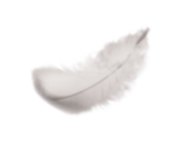 Feather representing the lightness of Doppler umbrellas.