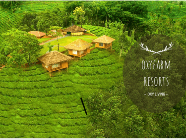 Oxyfarm Resorts, Mylettumala, Periya, Mananthavady