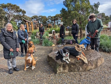 Group class of people standing around their dogs in drop