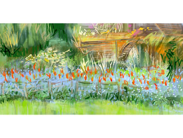 Solar bed tulipa display Spring 2025 - digital drawing