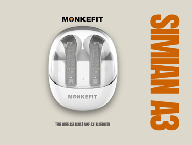 Simian A3 Earphone