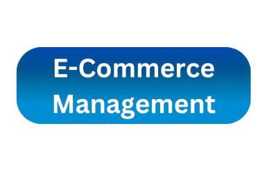 e commerce management