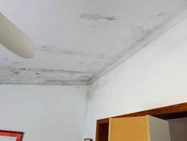 Black mold growth spreading across a white room ceiling and corner due to water damage.