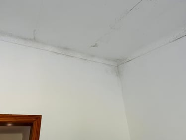 Black mold growth on white ceiling and wall corners indicating water damage and mildew issues.