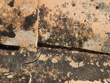 Close-up of terracotta roof tiles covered in black mold and lichen growth needing cleaning.