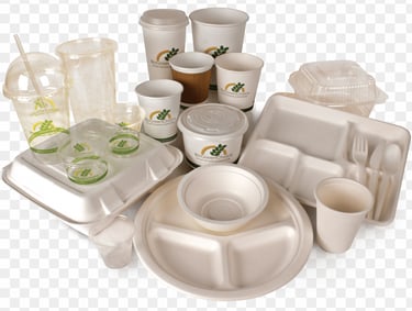 DISPOSIBLE ITEMS NEAR ME