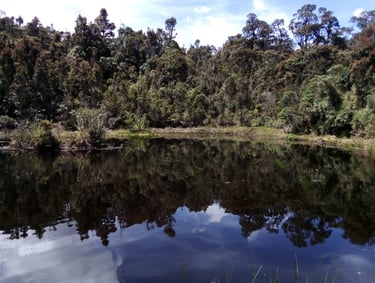 Lago en Reserva Natural El Páramo, Guasca, Cundinamarca, Colombia