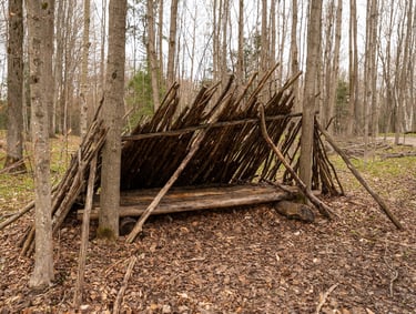 simple shelter in the wood