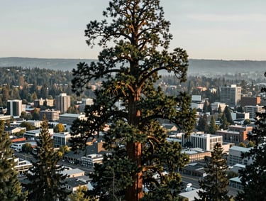 An aerial wide shot looking over the top of a massive sequoia tree toward the Willamette Valley, showing the contrast between the ancient tree and the modern city grid of Eugene, serene atmosphere, gray blue and sage green tones.