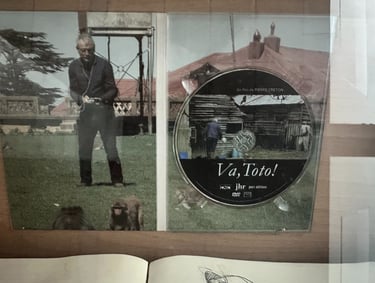 Va, Toto! ©16mag