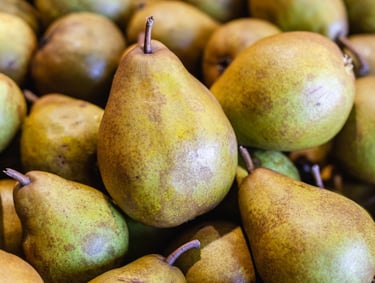 Poire bio du verger familial en Savoie