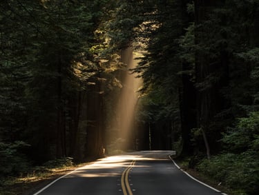 a road with a sunbeamed light shining through the trees
