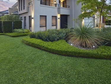 A newly installed Buffalo Grass lawn for a commercial property in Electronic City, Bangalore