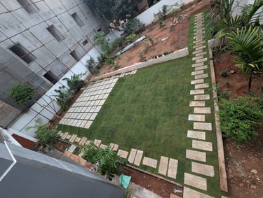 Beautiful Mexican grass lawn at a villa in Jayanagar, Bangalore