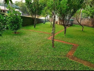 Pearl Grass Installation in Bangalore | FM Landscaping