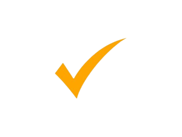 Orange Checkmark