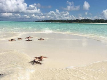 Starfish 3D2N Expedition Balabac Palawan